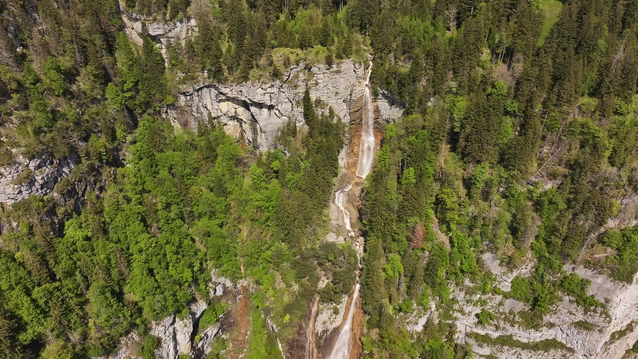top view of seerenbachfälle flowing through lush cliffside forest