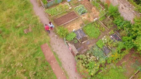 drone footage of gardener pushing wheelbarrow