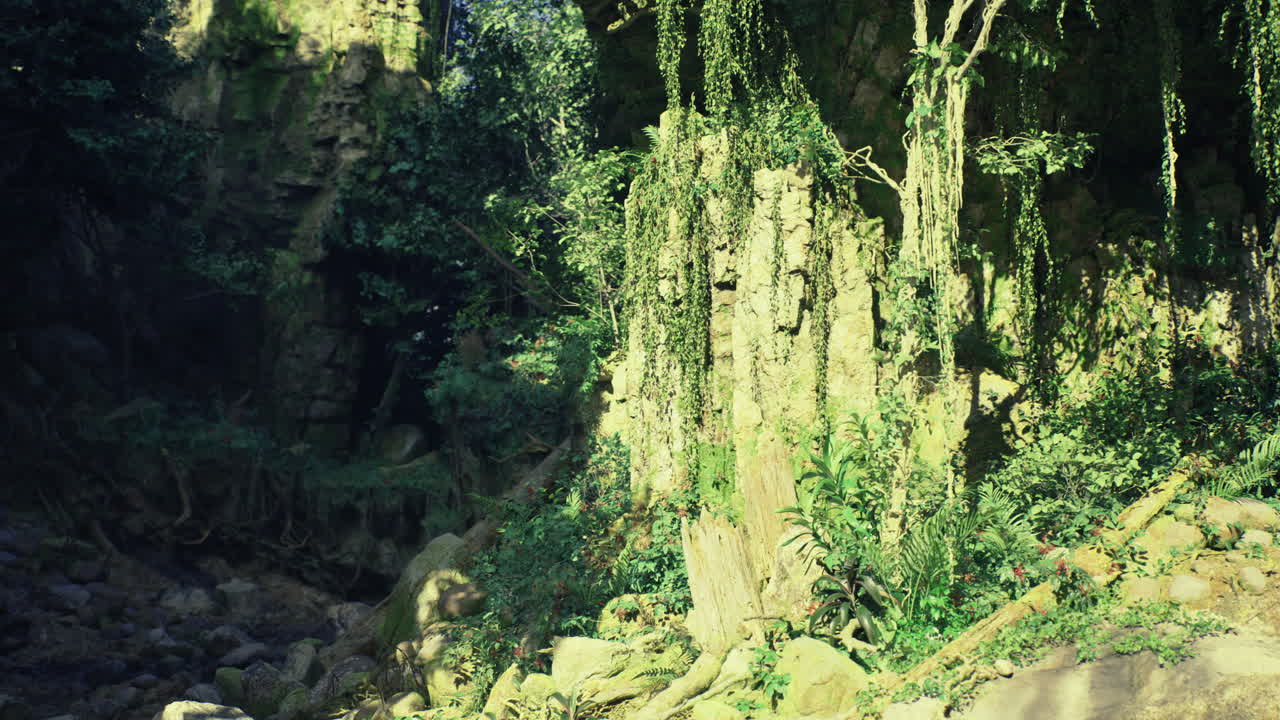 Lush greenery and rocky landscape in an untouched natural setting