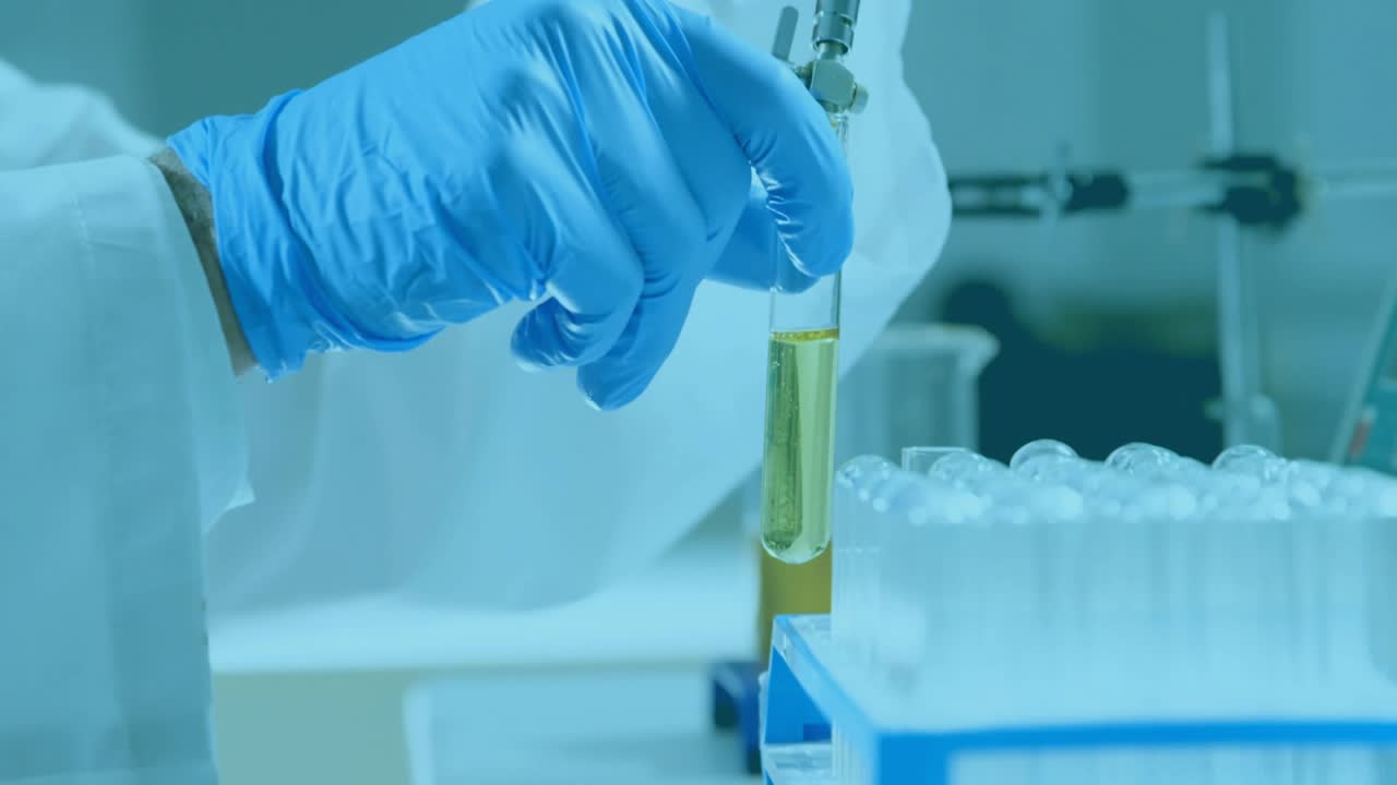 Senior male researcher adjusting pipette and monitoring HUD graphs during clinical sample transfer