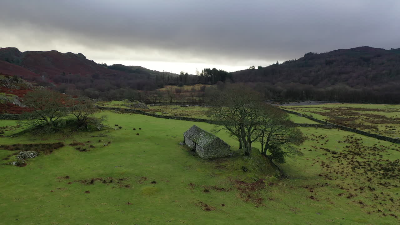 vuelo aéreo elevándose sobre un antiguo granero de piedra y un árbol en cumbria
