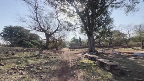 Amplia-Toma-De-Caminata-En-Un-Pueblo-Rural-Con-árboles-Viejos-Y-Largos-En-Una-Tarde-De-Verano-En-Madhya-Pradesh,-India.