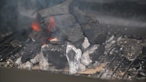 Zeitlupe-Eines-Feuers,-Das-Mit-Holzkohle-Auf-Einem-Grill-Beginnt,-Wobei-Durch-Den-Wind-Rauch-Und-Flammen-Entstehen