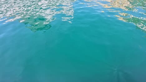 calm blue water with gentle ripples