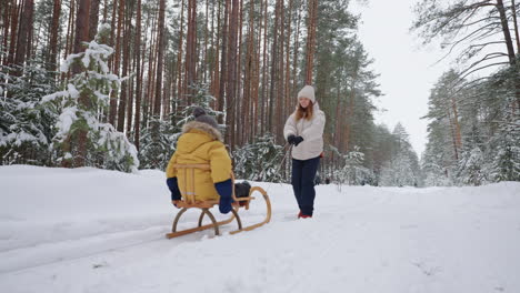 happy young woman is walking with her little child in winter forest son is sitting in wooden sleigh