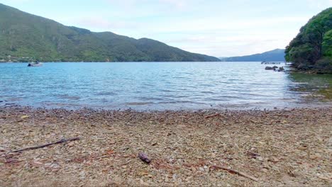 a view of endeavour inlet from a rocky beach in the south island of new zealand