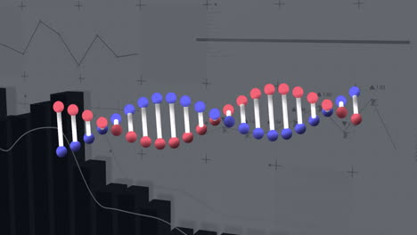 animación de cadena de adn sobre gráficos y gráficos de datos financieros