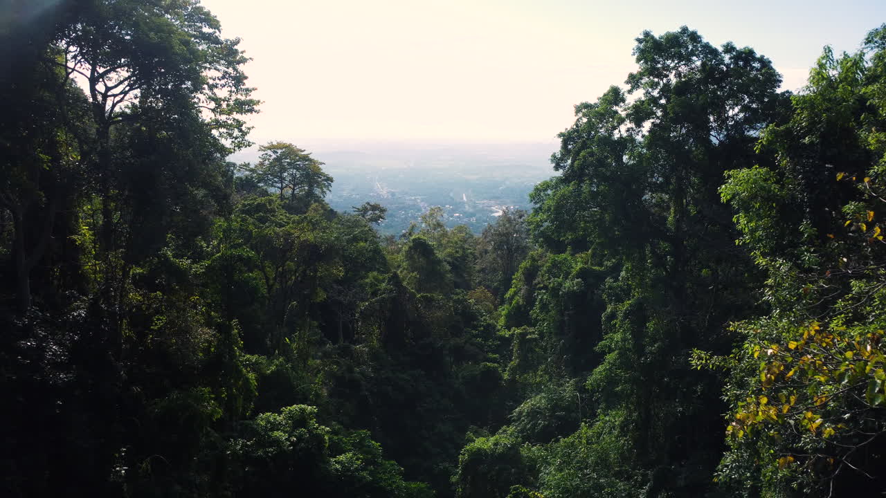exuberante bosque selvático con interminable vista del horizonte del paisaje de vietnam, aéreo
