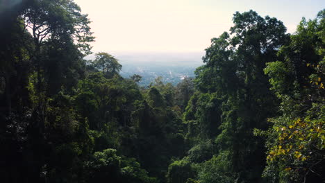 Lush-jungle-forest-with-endless-horizon-view-of-Vietnam-landscape,-aerial