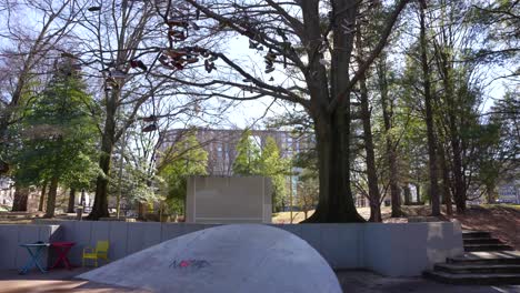 Haz-De-Luz-Solar-A-Través-Del-árbol-Más-Fuerte-Del-Parque