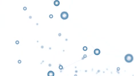 connected network animation on white background
