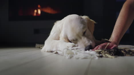 the owner and the pet are relaxing by the fireplace, the dog is licking the man's hand