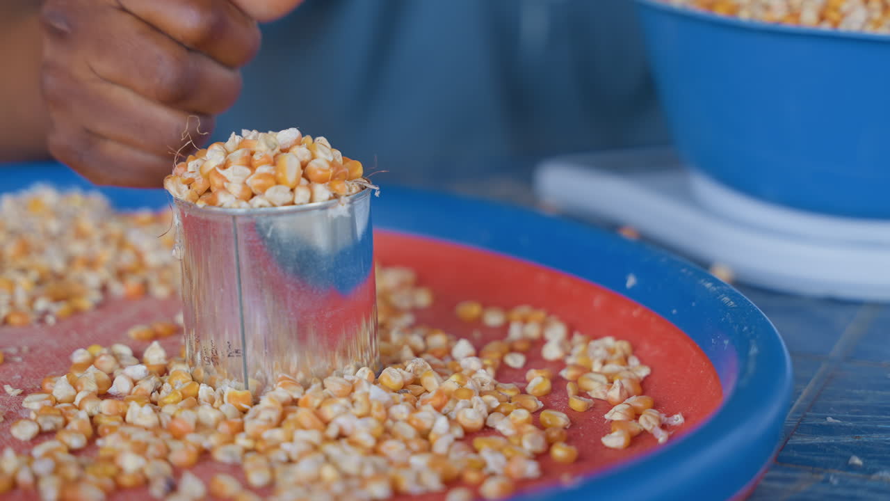 Cooking corn preparation. Kitchen scene with corn handling. Individual measures and scoops corn rhythmically. Person skillfully transfers corn into containers with rhythmic movements