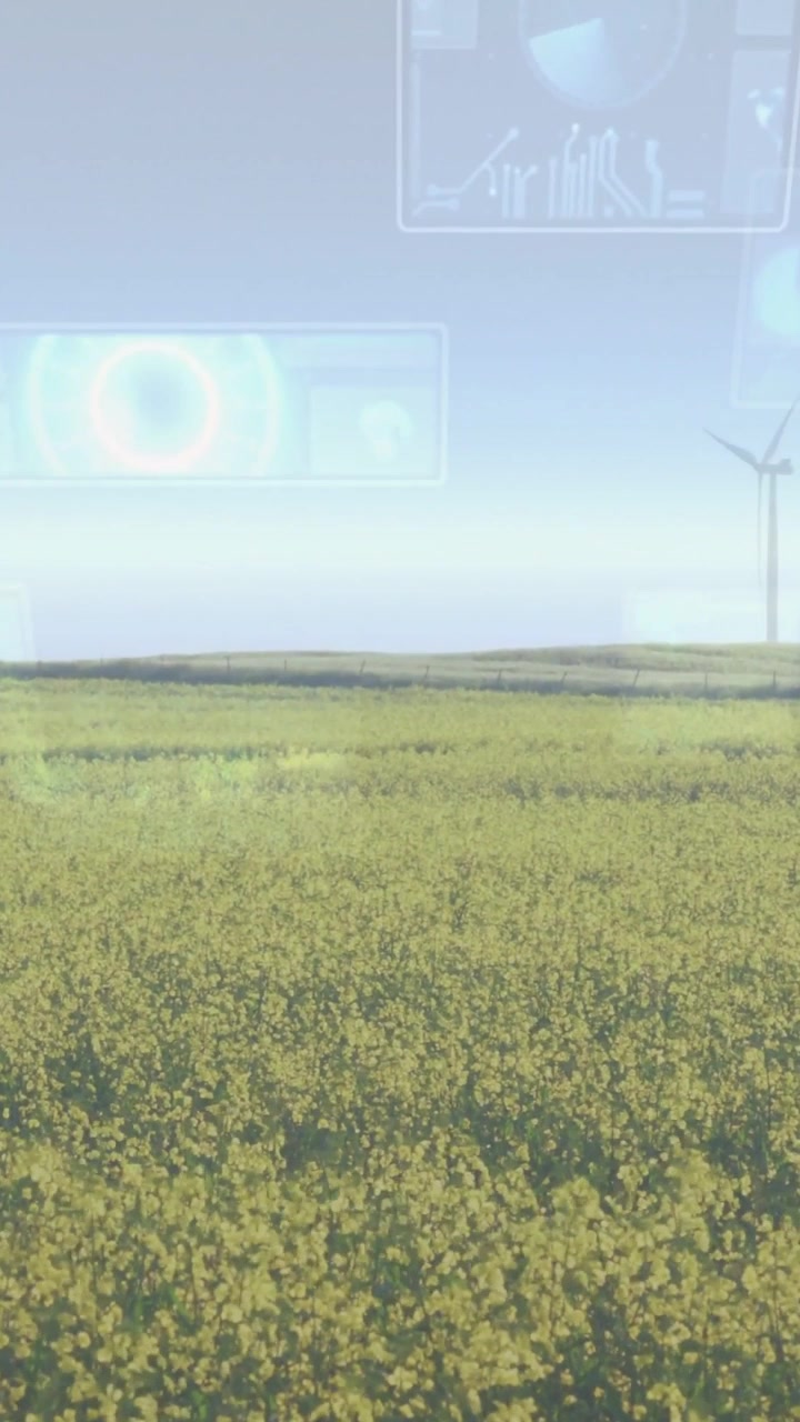 Video verticale: All'avvio, un campo di colza riempie l'inquadratura, pannelli dell'interfaccia utente che svaniscono sopra l'orizzonte per i dati agricoli