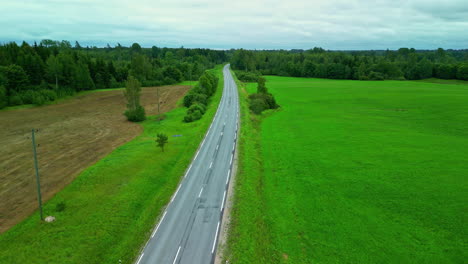 car driving on country road with green fields and dead grass, aerial drone view