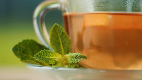 a cup of mint tea