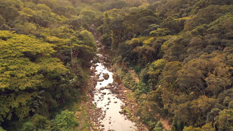 Luftaufnahme-Fluss-Im-Wald-Schöner-Drohnenflug-Durch-Grünen-Regenwalddschungel-Unberührte-Naturlandschaft-Naturschutz-4k