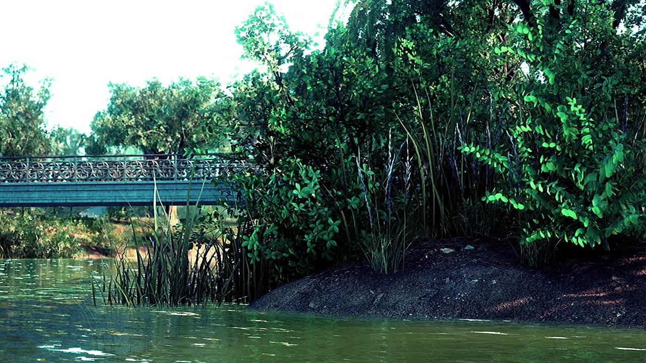 ⁇ 빛 아래 습지가 있는 도시 공원의 초록색 잔디 ⁇