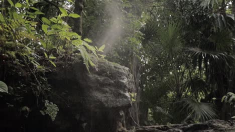 Toma-Panorámica-De-La-Selva-Maya-Con-Niebla