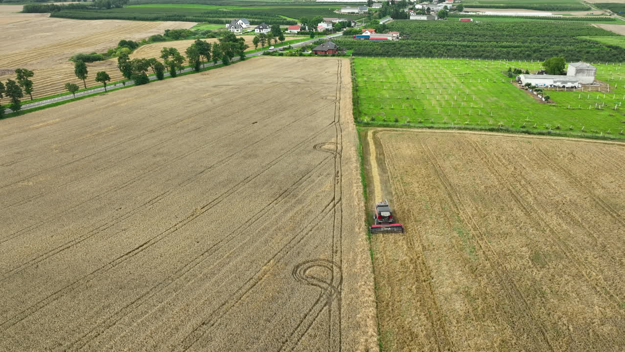 Aerial view of a combine harvester working along the border of a wheat field and an orchard