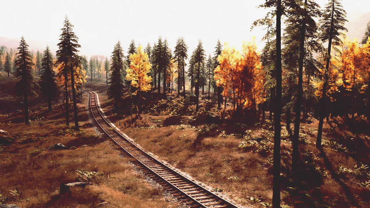 Autumn scenery with railway tracks winding through a vibrant forest