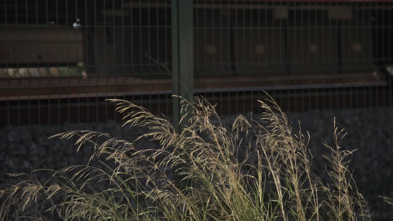 el tren en los rieles, 4k uhd slowmo