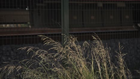 el tren en los rieles, 4k uhd slowmo