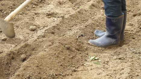 man in rubber boots digs vegetable patches with long-handled japanese garden hoe