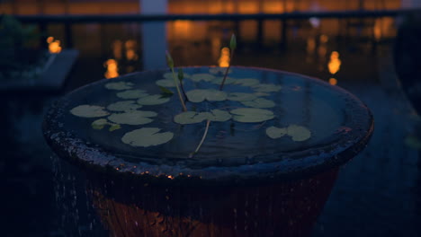 Water-Garden-With-Water-Lilies-And-Clay-Pot-In-Ubud,-Bali-Indonesia