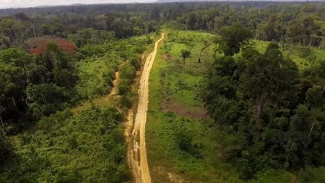 aerial drone view over a small sand road, in the african jungle, on a sunny day, in nanga eboko forest, haute-sanaga, southern cameroon