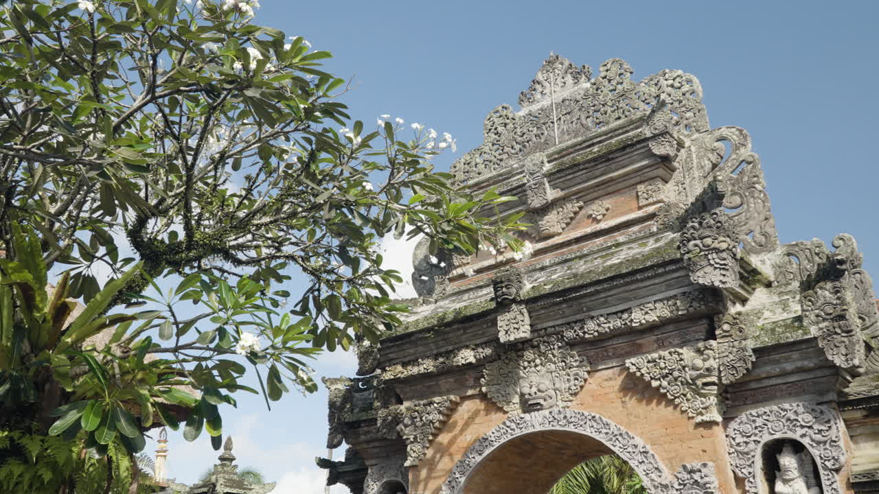 Ubud Palace Entrance Angkul Entrance Doors Against Sky and White Frangipani Tree, Puri Saren Agung, Gianyar Regency of Bali, Indonesia - pan shot