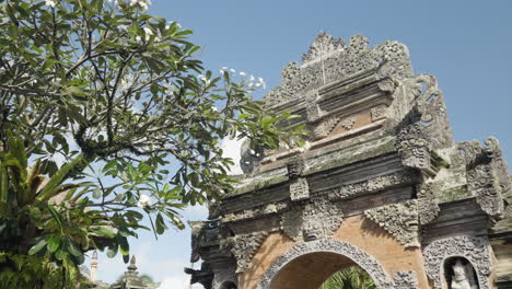 ubud palace entrance angkul entrance doors against sky and white frangipani tree, puri saren agung, gianyar regency of bali, indonesia - pan shot