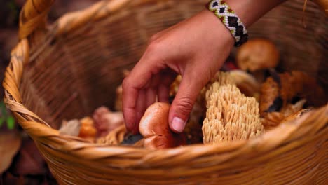 unrecognizable-woman-putting-mushroom-in-wicket-basket