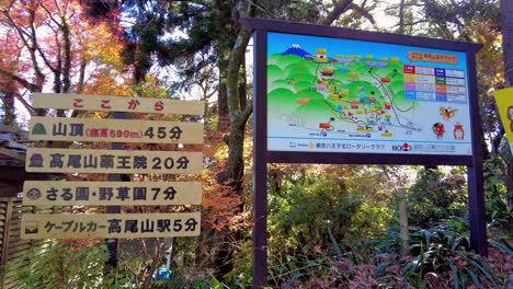 Excursión-De-Un-Día-Al-Monte-Takao:-Explora-La-Montaña-Favorita-De-Tokio