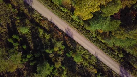 principios de otoño en el bosque, bosque mixto, coníferas verdes, árboles de hoja caduca con hojas amarillas, bosque de colores otoñales, paisaje de bosque nórdico, camino de ripio, vista superior aérea, amplio tiro de ojo de pájaro avanzando