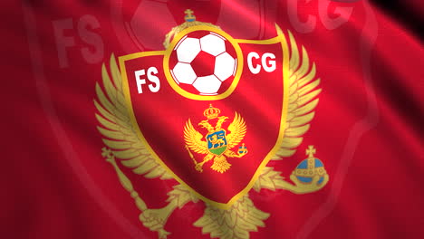 fs cg football team logo