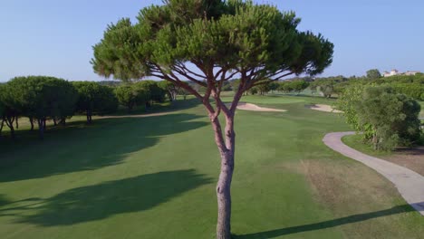 aerial travelling of golf course fairway at sunset