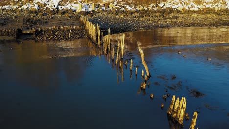 Deslizamiento-Aéreo-Más-Allá-De-Los-Postes-En-Descomposición-De-Un-Viejo-Muelle-Mientras-Una-Línea-De-ánades-Reales-Nadan-Hacia-Una-Orilla-Cubierta-De-Nieve