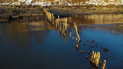 aerial slide past the decaying posts of an old dock while a line of mallards swim towards a snow dusted shore