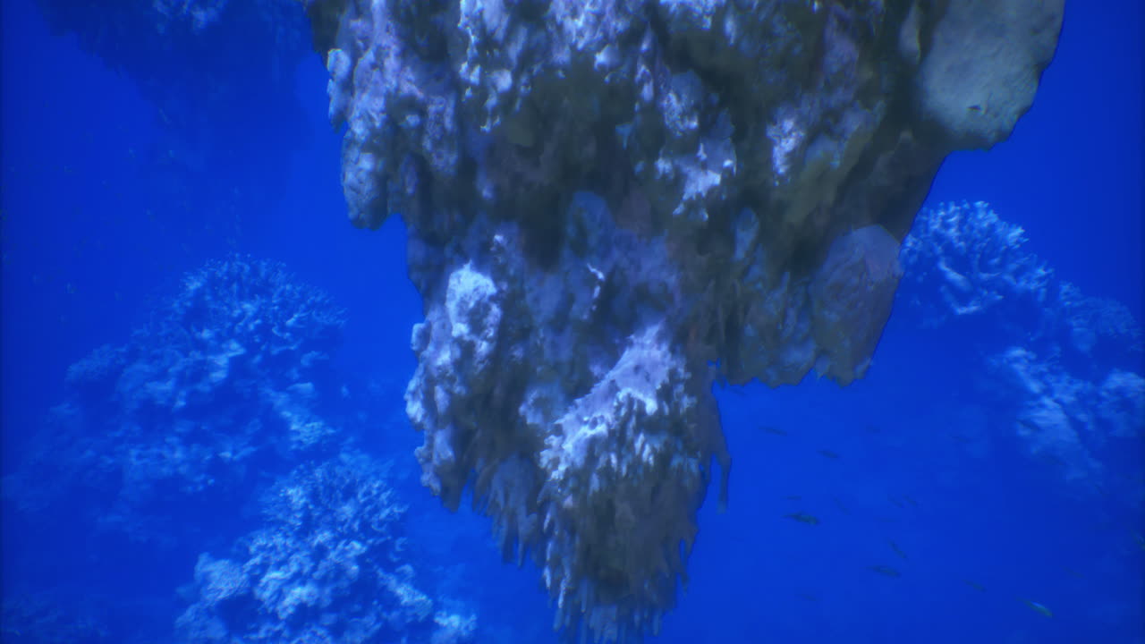 Exploring vibrant underwater coral formations in clear blue ocean waters