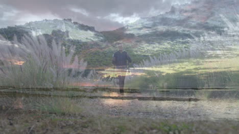 woman using hiking poles walking along gravel path, with floating health graph over sunset sky