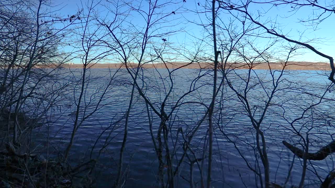 덤불과 나뭇가지 사이로 보이는 강을 따라 천천히 걷는 것