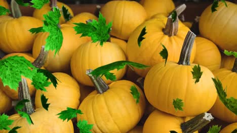 animación de las hojas de otoño que caen sobre el campo de calabazas