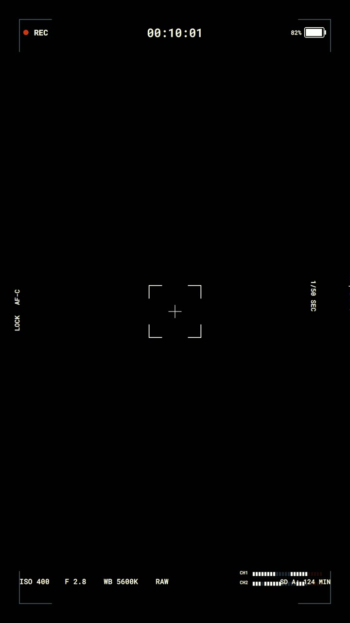 Digital Camera Viewfinder Interface Overlay