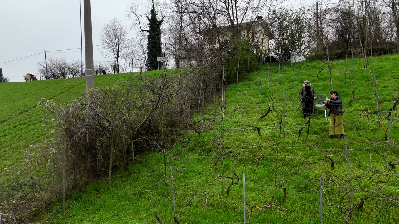 Fast drone push-in over a vineyard in Castell’Arquato reveals pruned vines, two women at work, grassy slopes, and rural buildings under an overcast sky, capturing the quiet rhythm of winter fieldwork