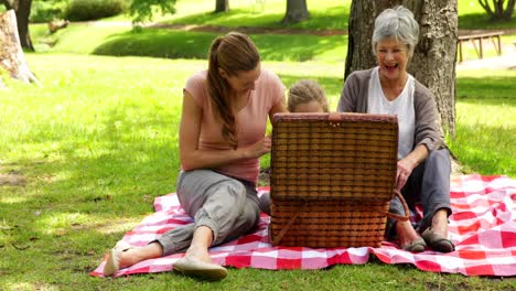 Tres-Generaciones-De-Mujeres-Haciendo-Un-Picnic