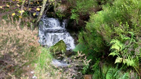 small moorland stream in yorkshire uk