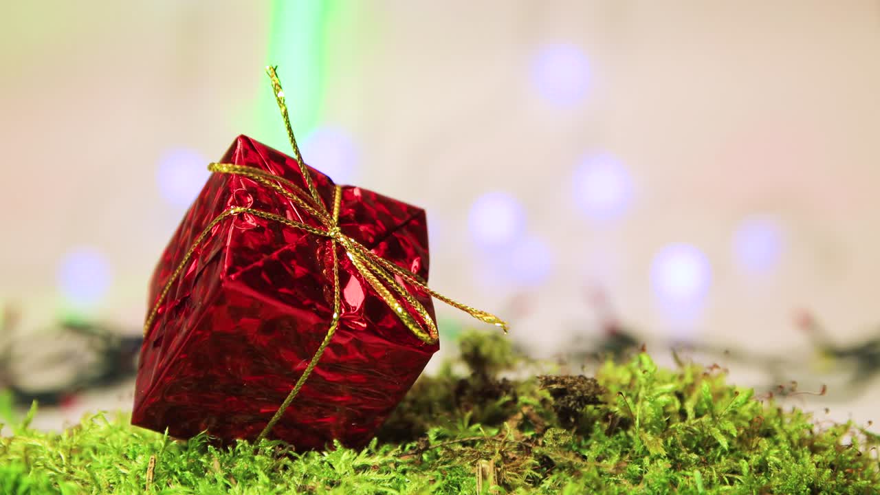 녹색 모스 위에 빨간 선물, 보케 등으로 크리스마스 트리 장식.