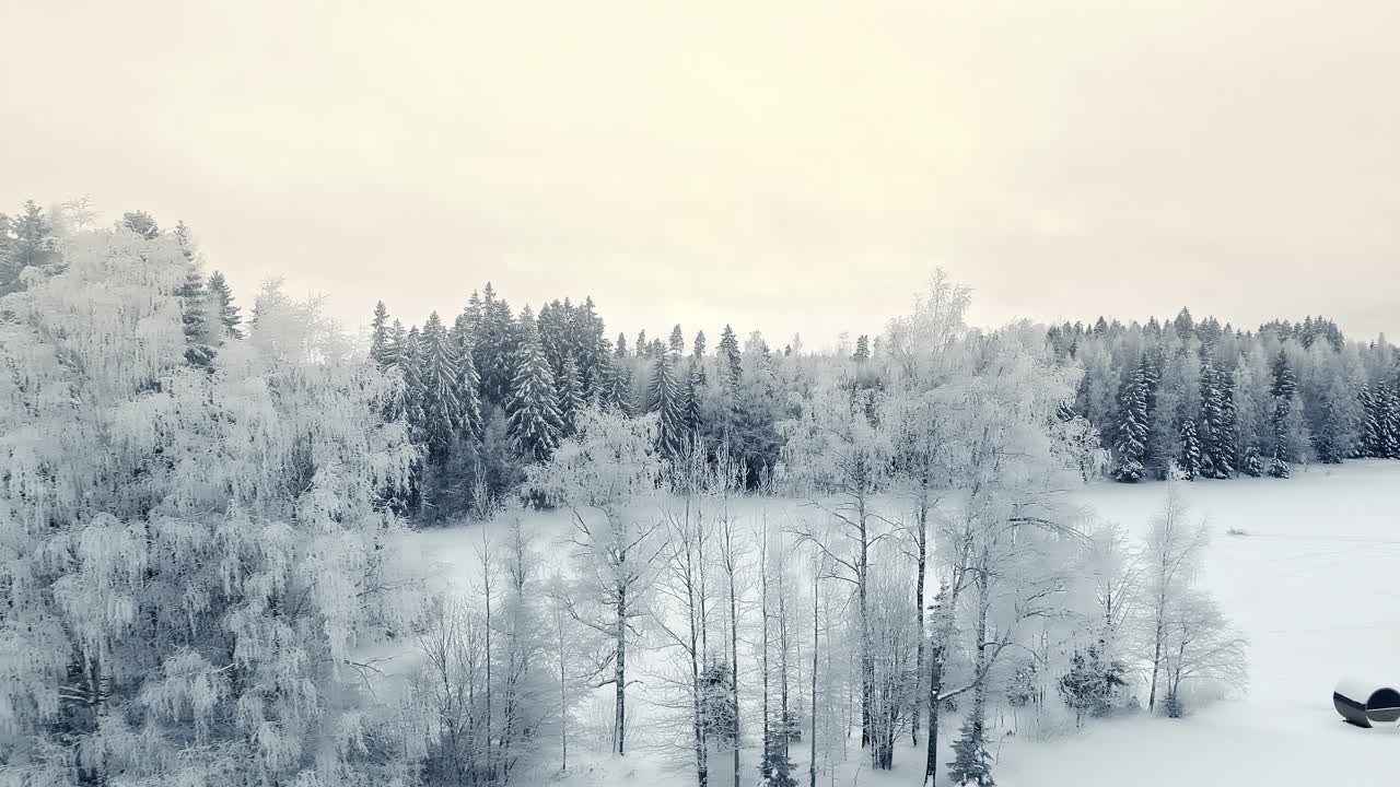 Luftfoto av vinterlandskap med hvite trær i skogen og snø på frossen mark