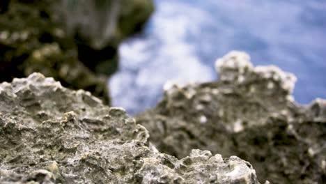 ocean waves crash against jagged sea cliff igneous rocks as adventures admire